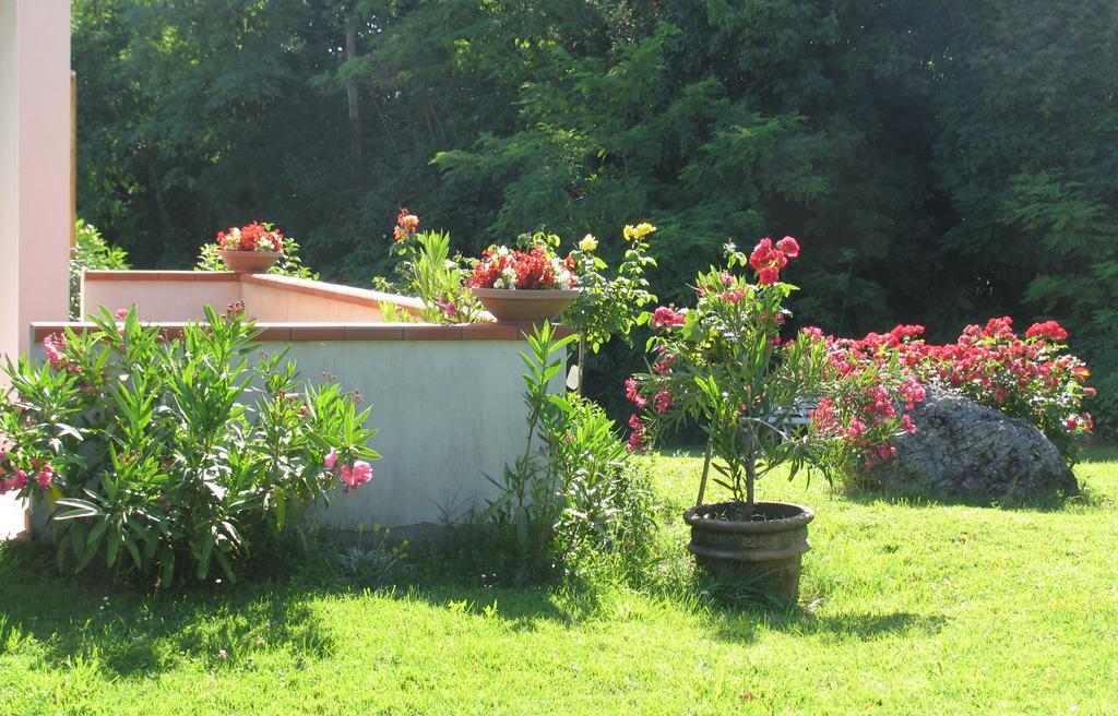 La Casa Dei Boschi Bed and Breakfast San Marino Eksteriør billede